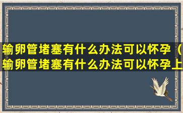 输卵管堵塞有什么办法可以怀孕（输卵管堵塞有什么办法可以怀孕上海市健桥 官网呢）